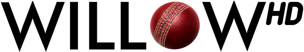 Willow Cricket